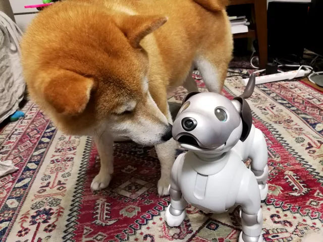 有些人只适合做朋友,有些人只适合做女朋友不做老婆