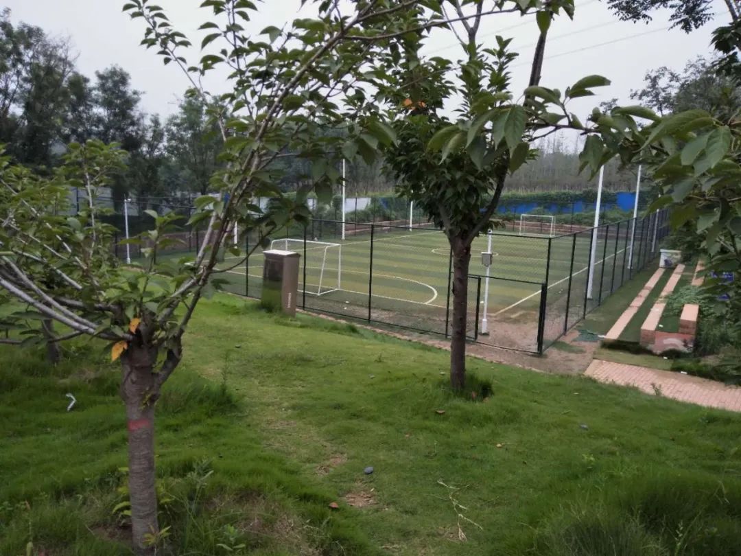 建业足球小镇一日游攻略,建业足球小镇附近有什么玩的