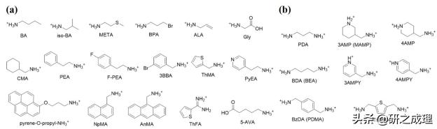 任广禹教授,任广禹教授科学家