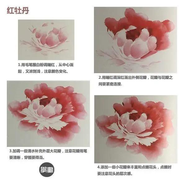 学习写意牡丹画的方法,学习写意牡丹画的步骤