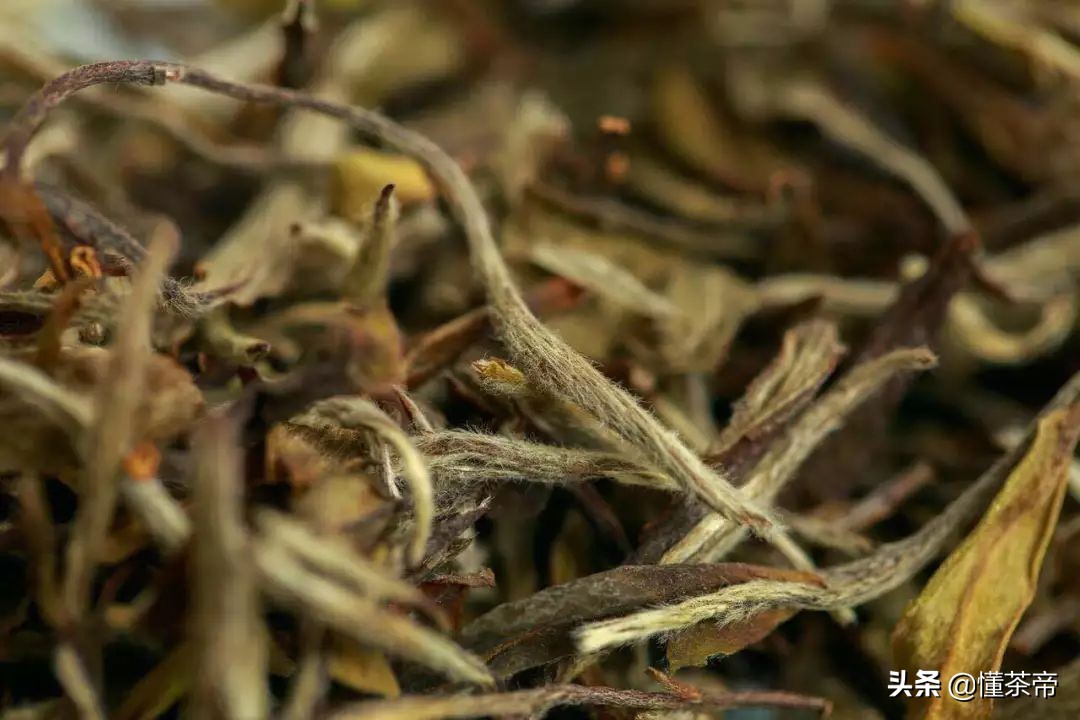 老白茶入口发酸是怎么回事,白茶发酸是什么茶