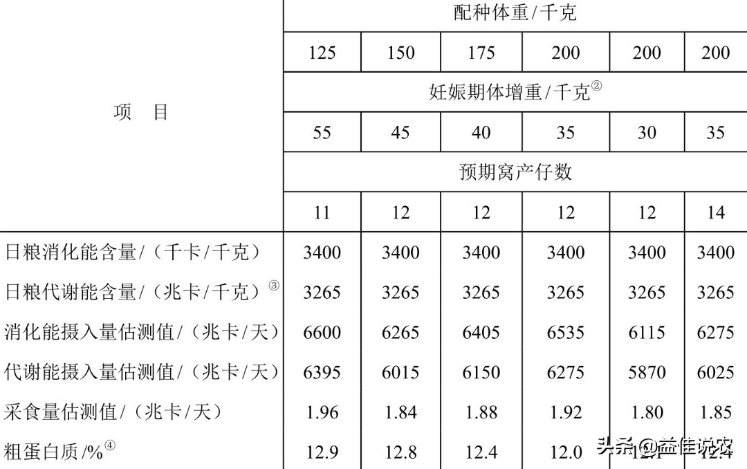 妊娠母猪饲养管理七阶段图,妊娠母猪饲养管理要点