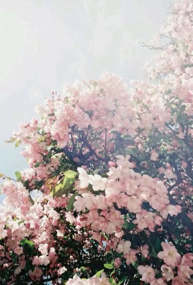 爱旅行的女人经典感言,爱旅行的女性心理