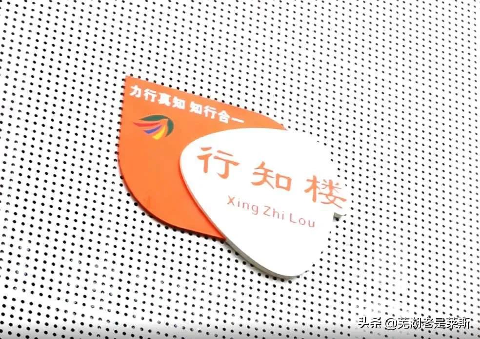 实地探访！芜湖新学校环境、师资大曝光