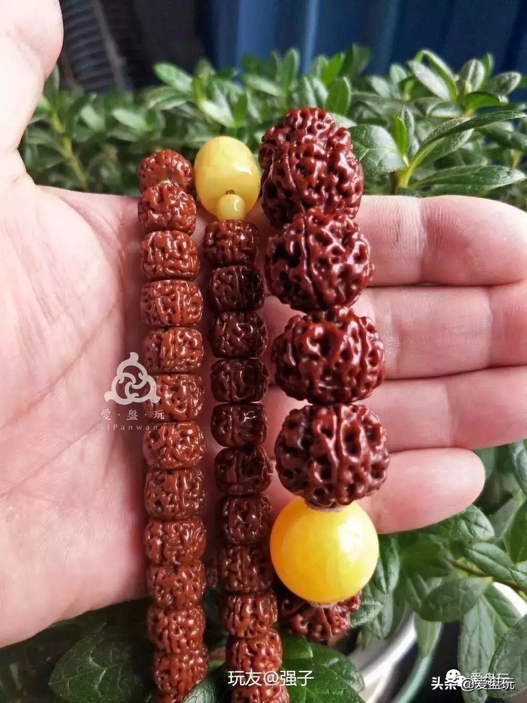 手串晒太阳有助变红吗,手串被晒了怎么补救