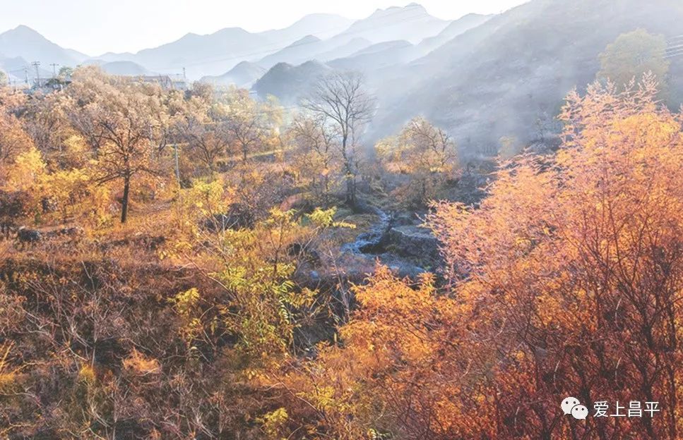 昌平区适合一日游玩踏青的地方,4月中旬昌平区最值得去的景点