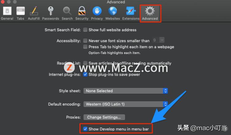 mac电脑safari浏览器找不到服务器,safari无法与服务器安全连接