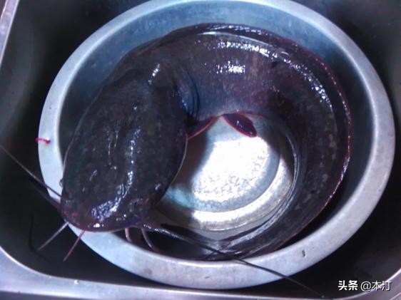 潘塘石窝钓鱼,路亚鱼塘钓石斑用什么假饵