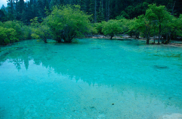 成都九寨沟几月份去好,九寨沟和稻城几月份去