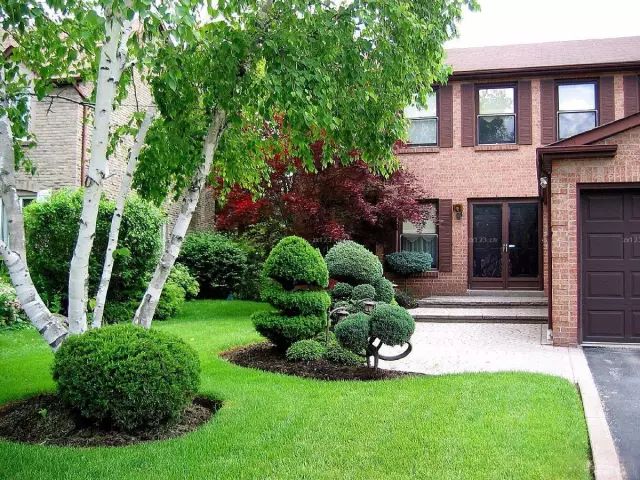 花园草地打理,花园草坪养护