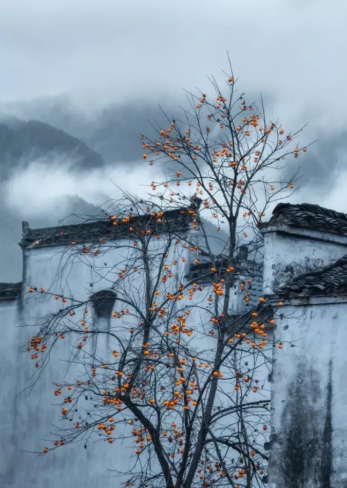 分享以下不起眼的赚钱小生意,不起眼的24小时赚钱小生意