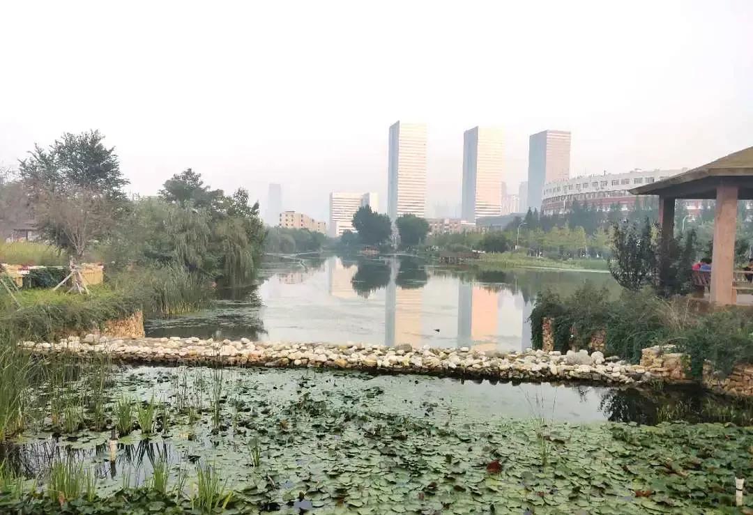 大连海事大学辽宁省大学排名,孔峰辽宁省教育厅大连海事大学