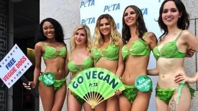 西方政治正确大逃杀:女权、LGBT、黑人谁能吃鸡?