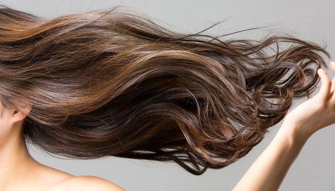 秃头的真相：毛囊干细胞分裂的改变导致，启发了脱发治疗新方法