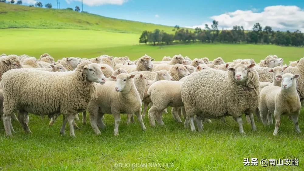 8月避暑推荐 (七月避暑人少的地方)