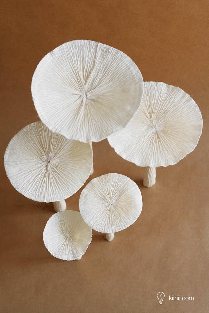 童话世界蘑菇屋农家乐 (儿童手工蘑菇屋创意介绍)