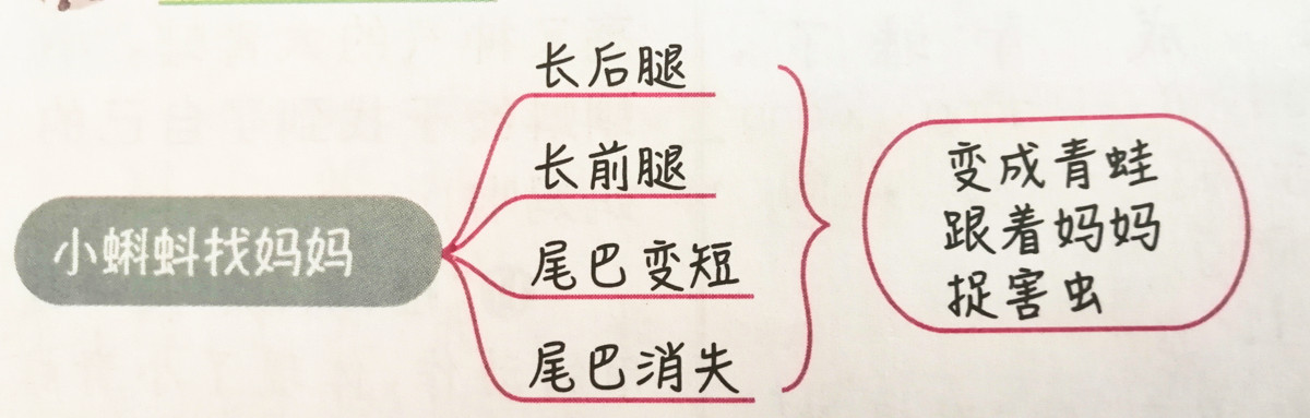 二年级上册语文课文讲解重点归纳,二年级上册语文第3单元预习资料