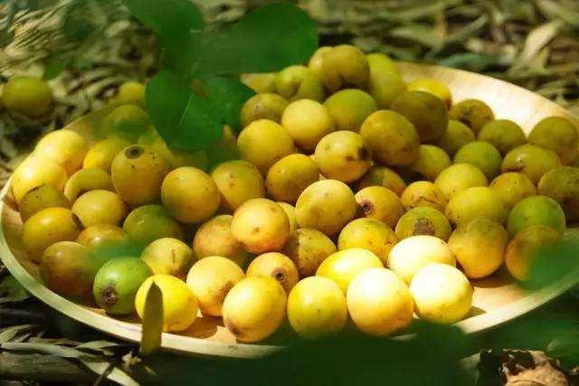 五眼六通菩提手串怎么盘,隐藏在我们身边的平民手串