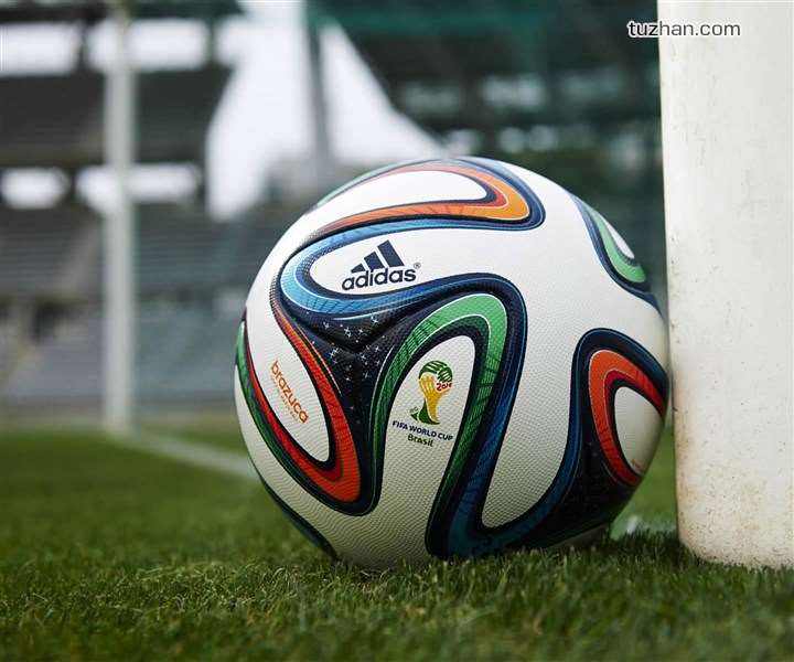 鲸鱼和鲨鱼的故事,鲸鱼与海豚的故事后传