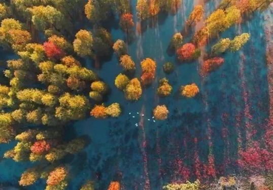 南京这些免费公园，让你任性玩个遍