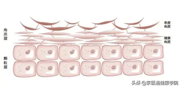 刷酸教程和注意事项,刷酸期间不要吃什么