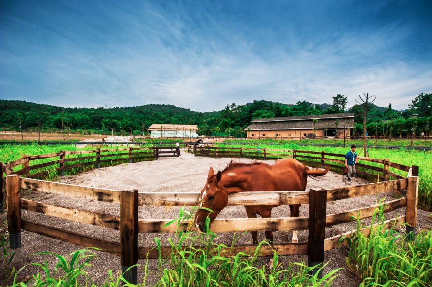 罗浮山清水湖民宿订房,全家出游避暑