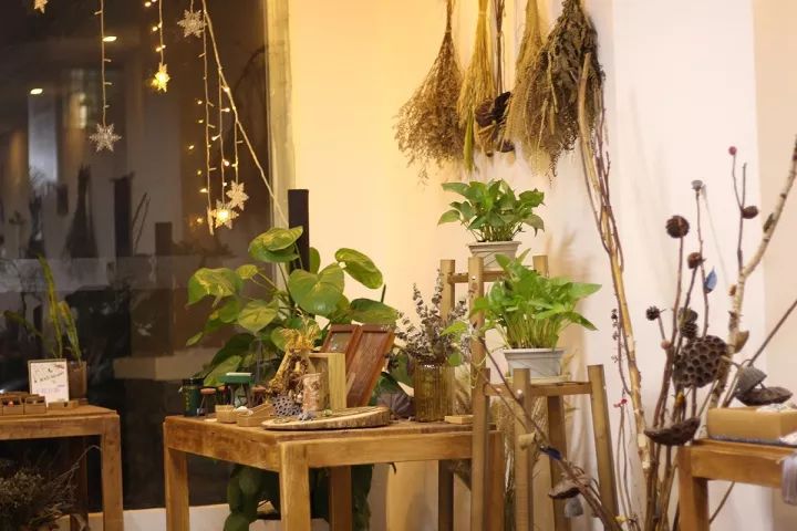 她31岁放弃北漂高薪，回归森林“捡垃圾”，用树叶打造出人间仙境