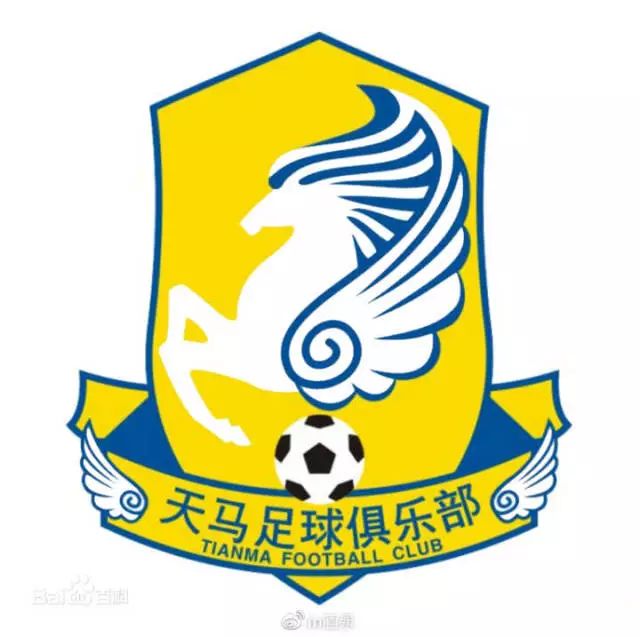 短暂辉煌之后的低谷,辉煌年代足球