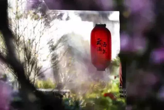 泰州溱湖湿地民宿,泰州溱湖云海温泉酒店