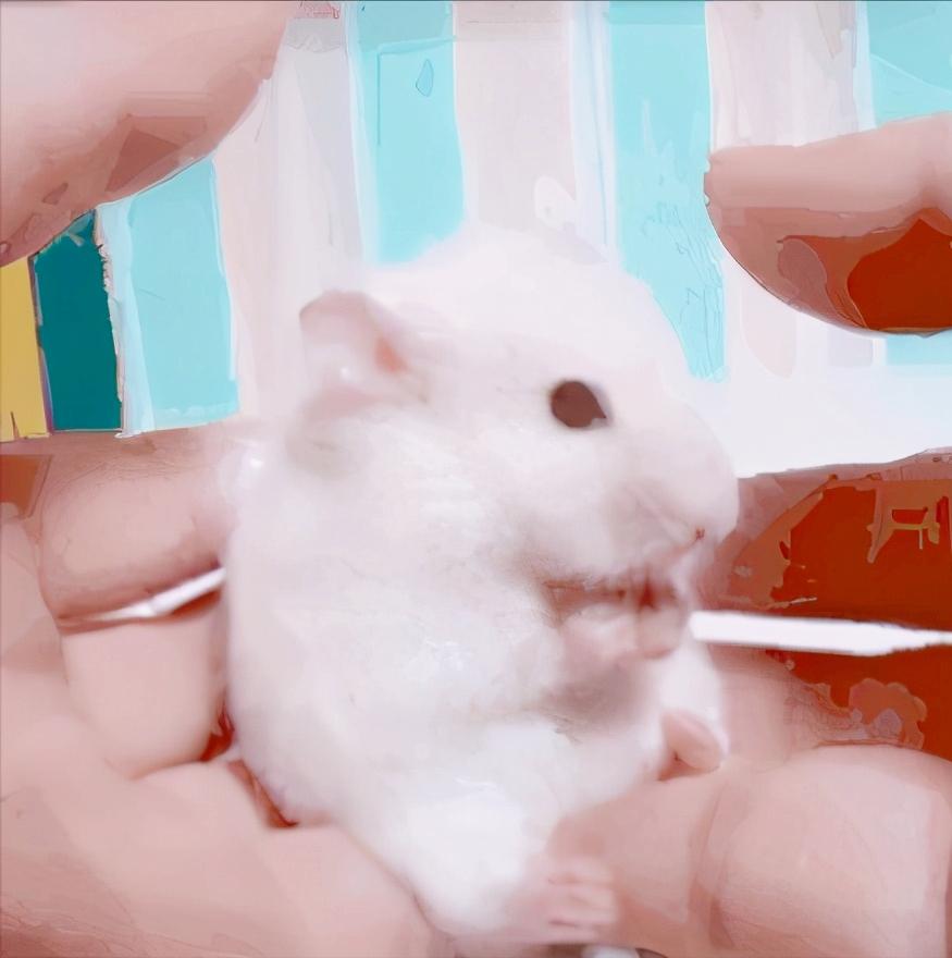 孕妇检查叶酸中度风险很可怕吗,孕妇查出来缺叶酸的危害