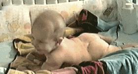 一个月龄宝宝频繁放屁,婴幼儿放屁有什么讲究