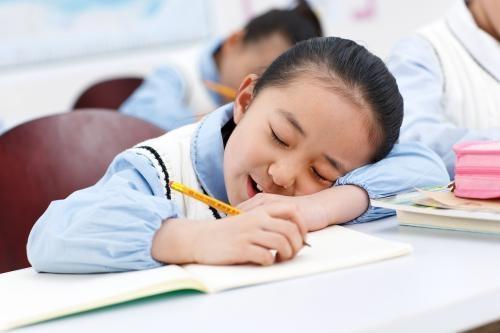 2019-2020五年级上册语文期末试卷,2023到2024五年级语文期末试卷6页