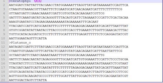 手把手教你构建漂亮的进化树,系统进化树怎么调试节点