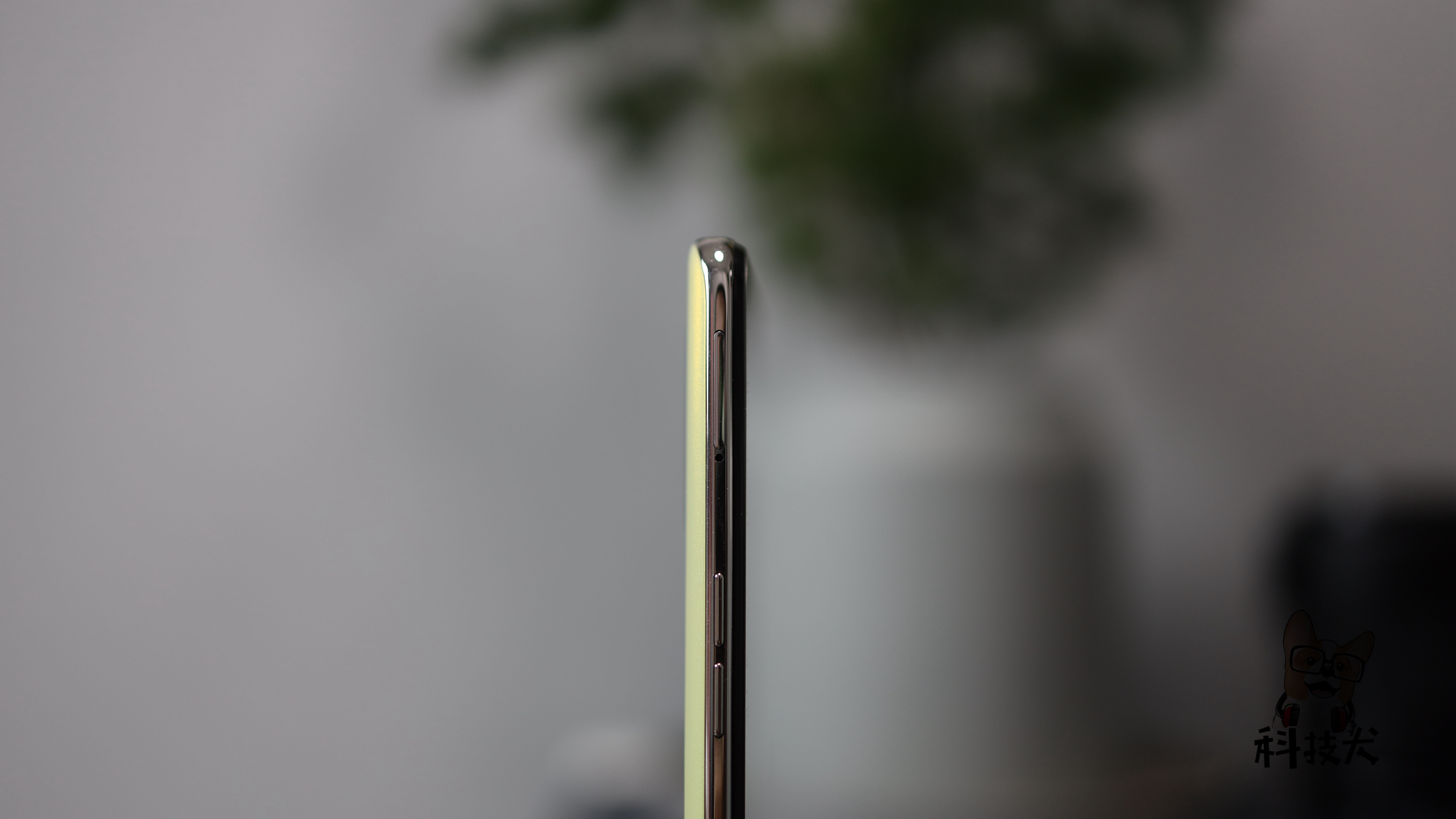 realmeq3pro萤火虫能发光吗,realmeq3pro萤火虫配色夜光效果