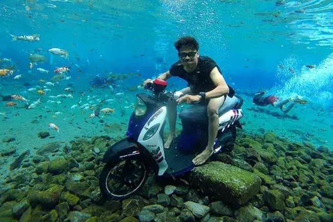 乡下小池塘,乡村里面的小池塘