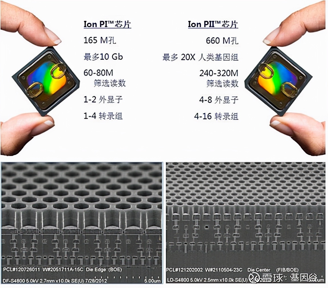 全场硬菜!分子诊断技术全解析