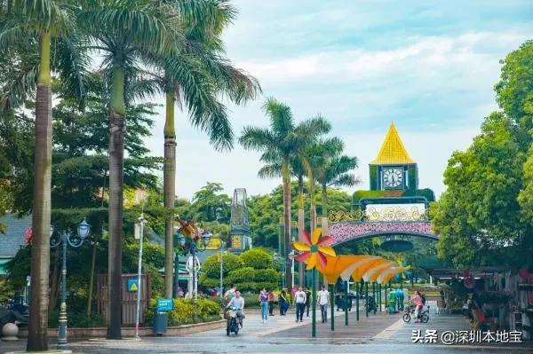 深圳最值得免费去的十大景点,深圳有哪些地方是免费景点