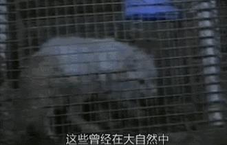 豆瓣9.1这部剧全程高能,豆瓣9.2分最好看的悬疑剧