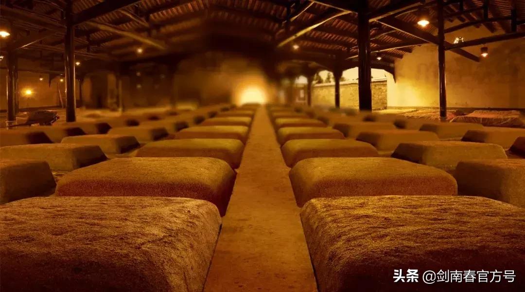 金剑南k6为什么2019特别多,金剑南k6为什么市面上很少卖