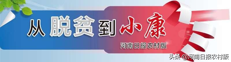 长葛市:精神病兜底贫困病人康复后弹钢琴曲《歌唱祖国》