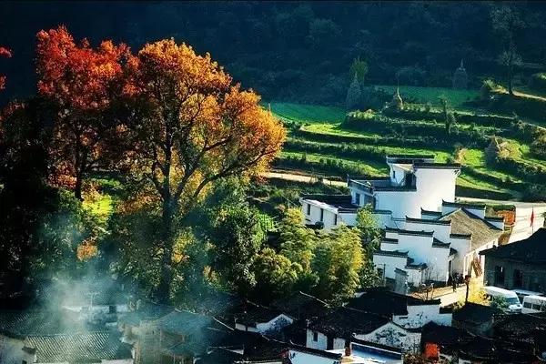 去了10次也不腻的地方,芜湖最值得一去的地方