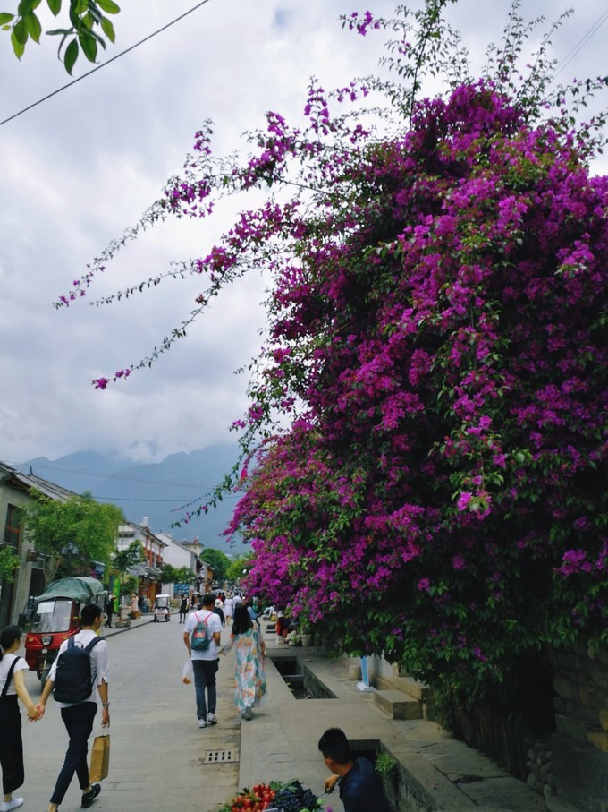 大理洱海风花雪月,大理风景风花雪月