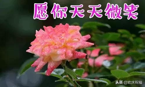 新年微信祝福贺卡,以微信为主题的新年贺卡