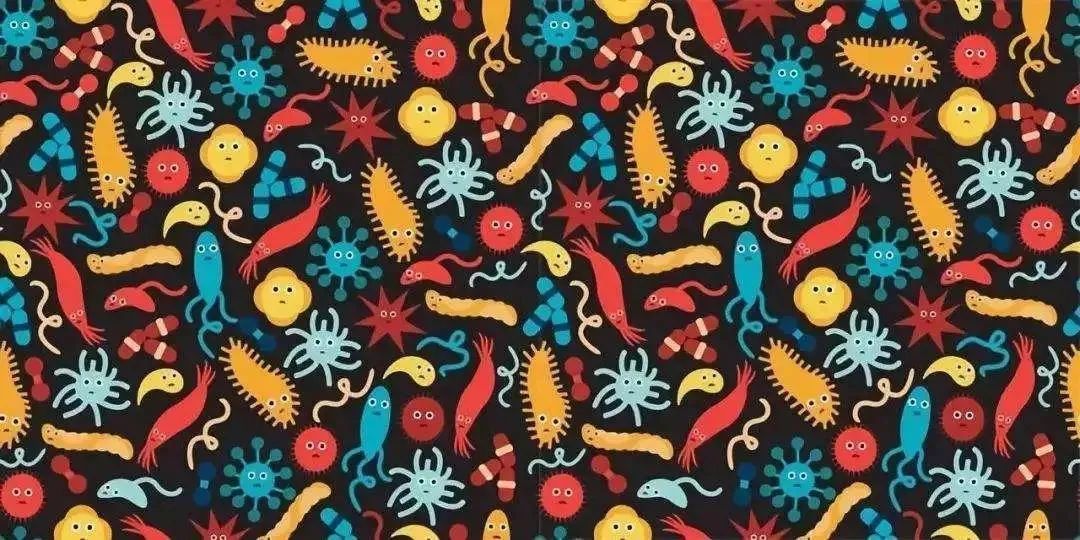 肠道菌群失调会造成里急后重吗,肠道菌群失调是不是容易有皮肤病