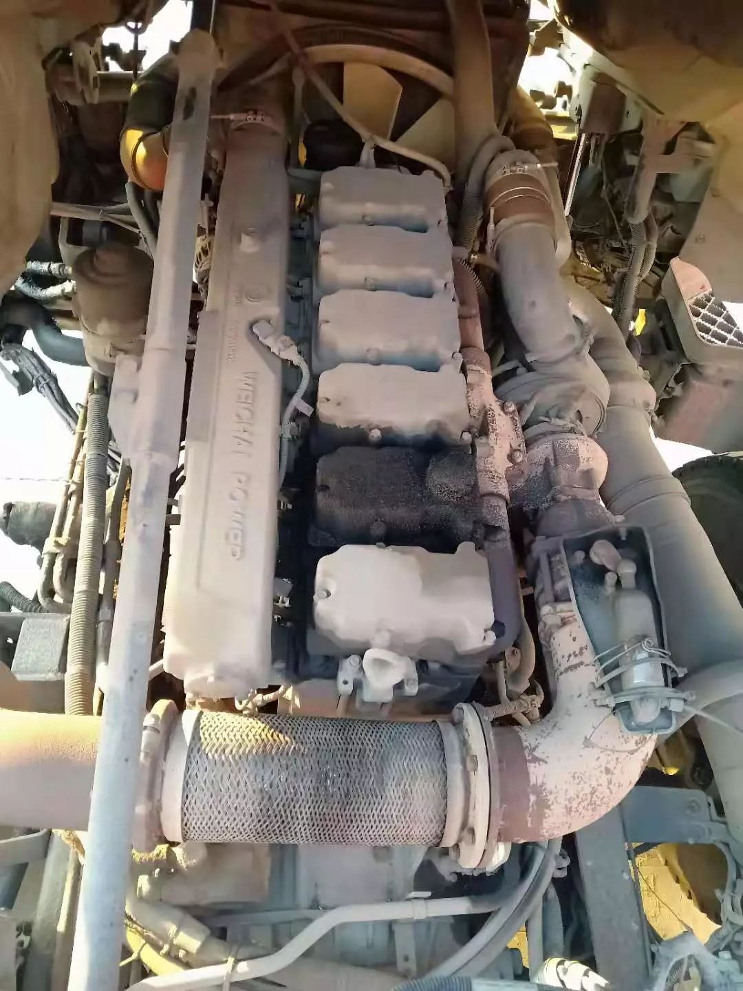 唐伟：潍柴发动机是我运输路上的“保障兵”