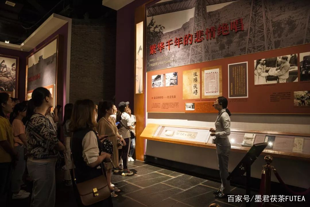 会友会景会茯茶品古品今品墨君|陕西巨鹰公司莅临金叶茯茶参观