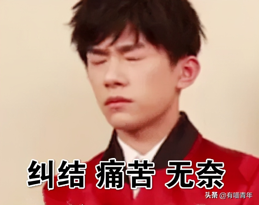 我给猫花的冤枉钱，能在广州买一套房