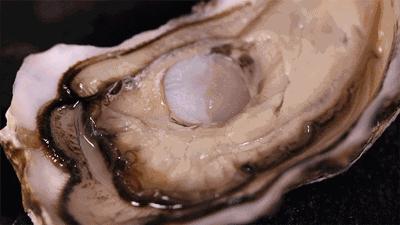 吃生蚝是怎样的体验,生蚝是生吞的吗