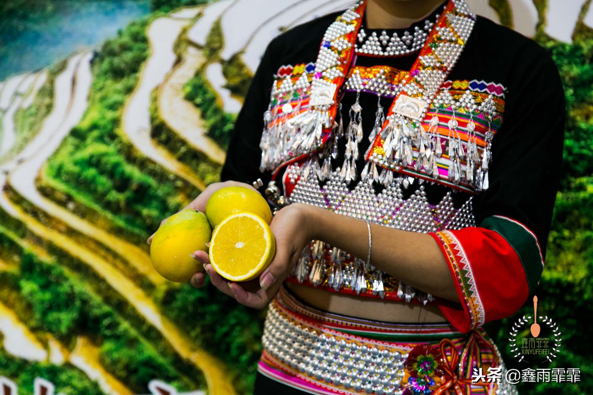 5万斤胡萝卜卖不出去,一斤胡萝卜能卖多少钱