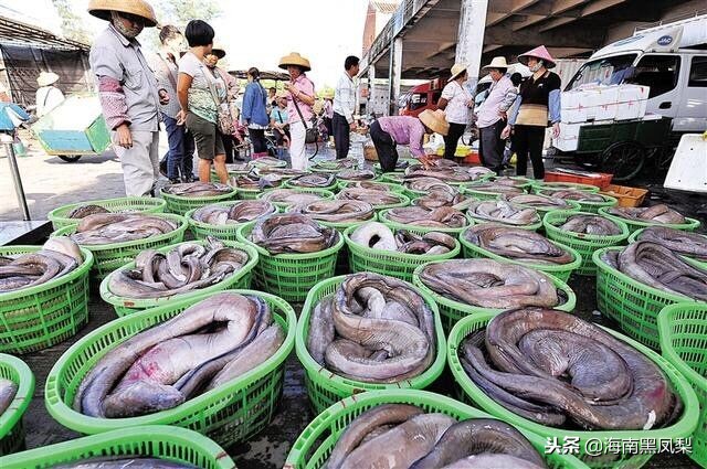 海南冬天最适合生活的地方,海南的冬天海滩